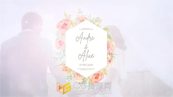 8组4K分辨率花纹边框婚礼介绍文字标题动画-AE模板