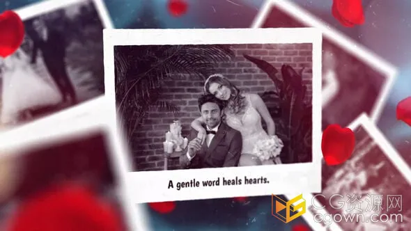 玫瑰花瓣纯爱婚礼幻灯片黑白风格视频相册-AE模板