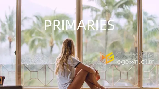 10组日系小清新明亮风格LUTs视频与照片调色预设PRIMARIES