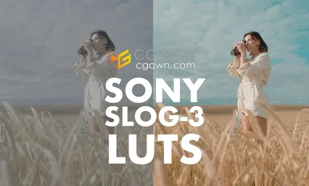 SONY SLOG 3 LUTs电影级调色预设专业色彩校正肤色版