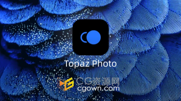 Topaz Photo Pro v1.0.3 AI人工智能图片放大软件