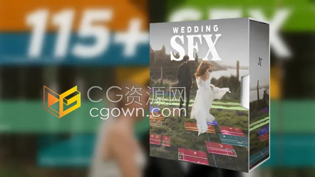 音效素材-116个高端婚礼视频制作环境氛围拟声过渡无损音效Wedding SFX Pack