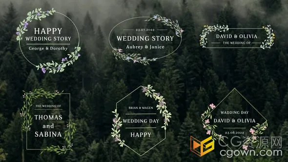 清新素雅花卉藤叶动画元素浪漫婚礼标题-AE&PR模板