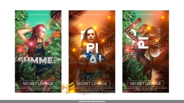 AE模板-东南亚风情绿植场景彩灯元素俱乐部酒吧宣传夜间派对竖屏海报