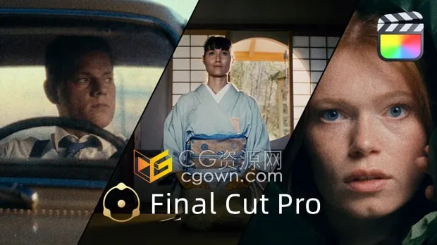 FCPX插件Dehancer Pro v7.3.4电影质感复古胶片效果调色