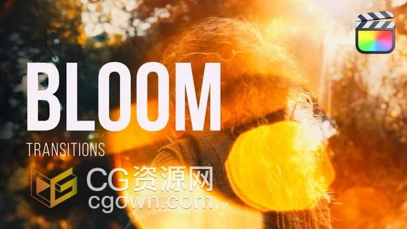 FCPX插件24种镜头光晕光效视频转场过渡预设