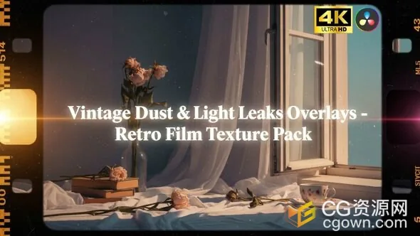 DR达芬奇模板-12组复古胶片纹理漏光叠加预设