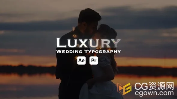奢华婚礼文字标题装饰动画婚礼精彩片段视频字幕-AE&PR模板