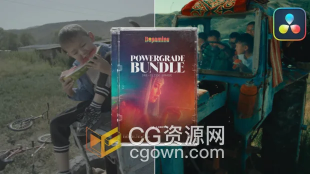 达芬奇插件35+款电影级胶片调色预设The Powergrade Bundle