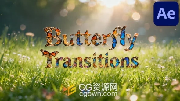 蝴蝶飞舞群动画遮罩视频转场27种预设模板AE脚本