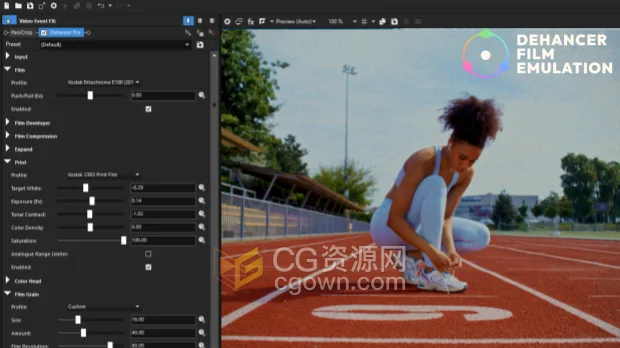 Vegas插件Dehancer Pro v7.4.2电影质感复古胶片效果调色